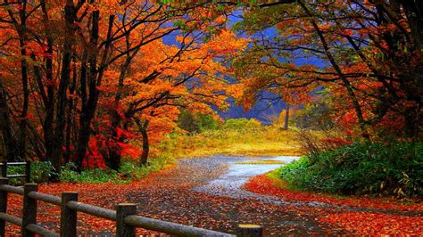 desktop wallpaper fall scenes|free desktop wallpaper fall scenes.